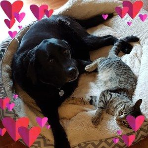 Meet your Posher, Jennette